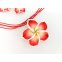 Kette Ohrhänger Set Rot Blume Blüte Frangipani Hawaii IMG_20210317_115011