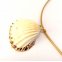 Muschel Seashell Kette Anhänger Natur Gold Verstellbar IMG_20210318_182351