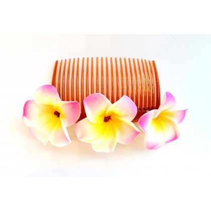 Blumenkamm Frangipani Pink Gelb Blüten Haarkamm Steckkamm Hawaii IMG_20210325_231950