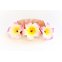 Blumenkamm Frangipani Pink Gelb Blüten Haarkamm Steckkamm Hawaii IMG_20210325_232013