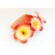 Blumenkamm Frangipani Rot Gelb Blüten Haarkamm Steckkamm Hawaii IMG_20210325_232154