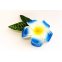 Haarklemme Frangipani Blau Weiss Blüte Spange Headpiece Hawaii IMG_20210325_231515
