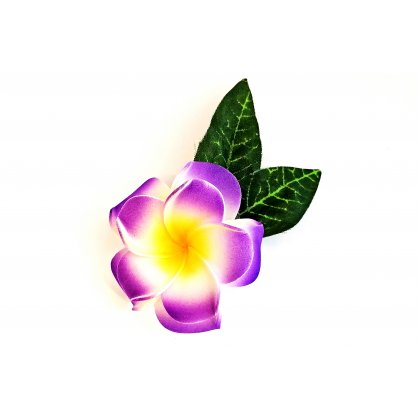 Haarklemme Frangipani Lila Weiss Blüte Spange Heaspiece Hawaii IMG_20210325_212526