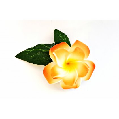 Haarklemme Frangipani Orange Weiss Blüte Spange Headpiece Hawaii IMG_20210325_163642