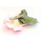 Haarklemme Frangipani Pink Weiss Blüte Spange Headpiece Hawaii IMG_20210325_231658