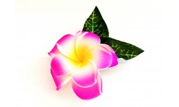 Haarklemme Frangipani Pink Weiss Blüte Spange Headpiece Hawaii IMG_20210325_231731