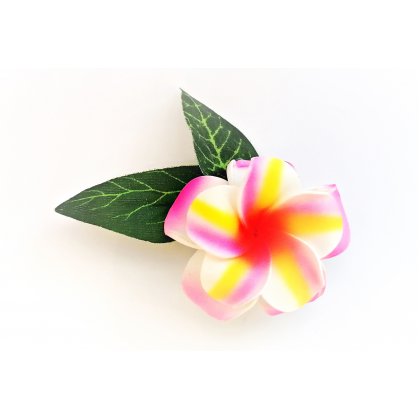 Haarklemme Frangipani Rosa Pink Gelb Blüte Spange Headpiece Hawaii IMG_20210325_213054