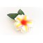 Haarklemme Frangipani Weiss Rosa Gelb Blüte Spange Headpiece Hawaii IMG_20210325_231200